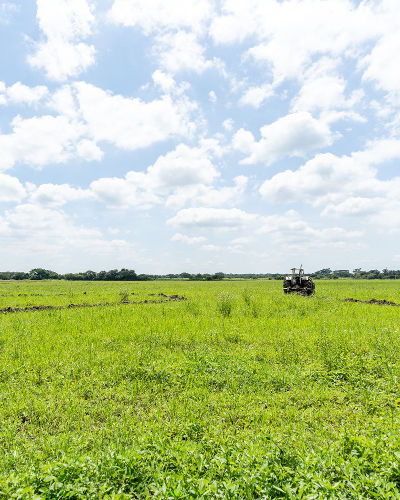 venta-arroz-colombia